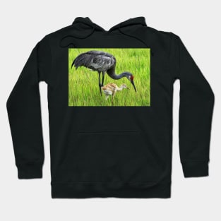 Sandhill crane parent with chick Hoodie